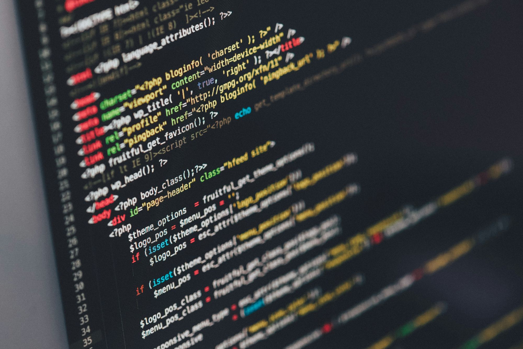 website development custom website design services